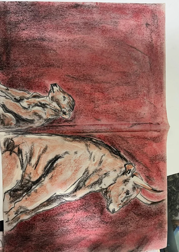 Dibujos, 