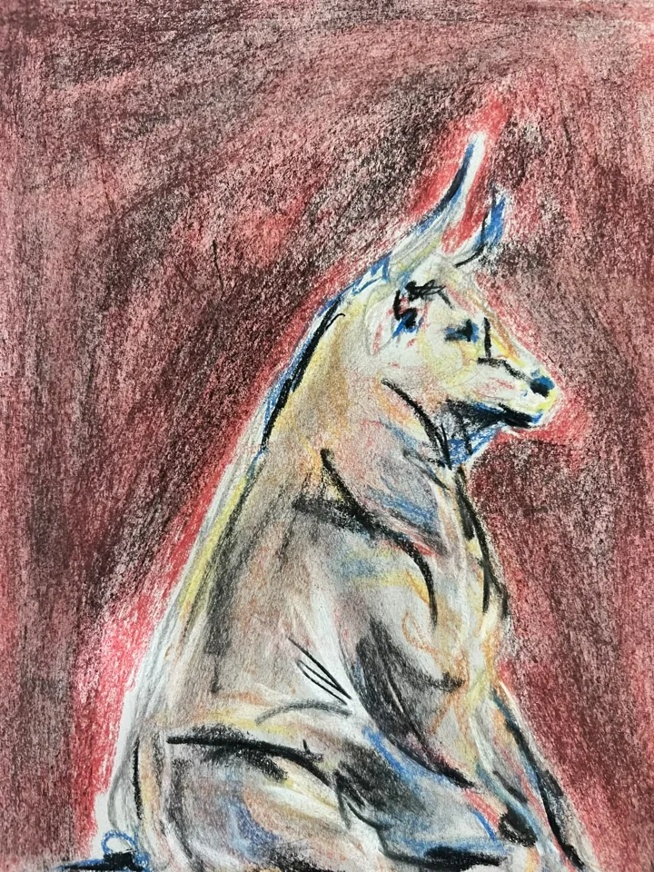 Dibujos, 